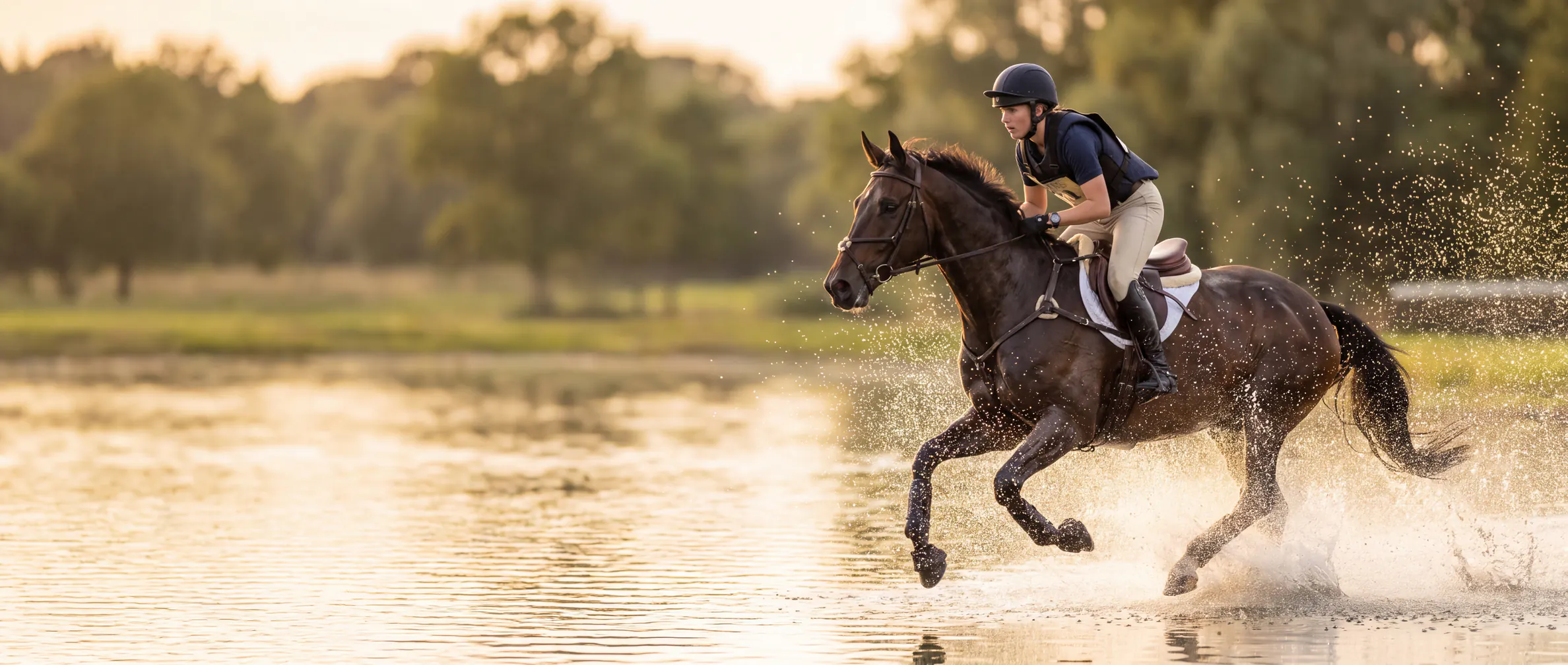 Ryttare och sporthäst i galopp genom vattnet på en fälttävlan bana